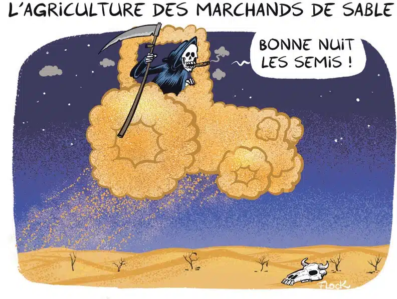 Le sable nourrit l'agriculture intensive et appauvrit les sols
