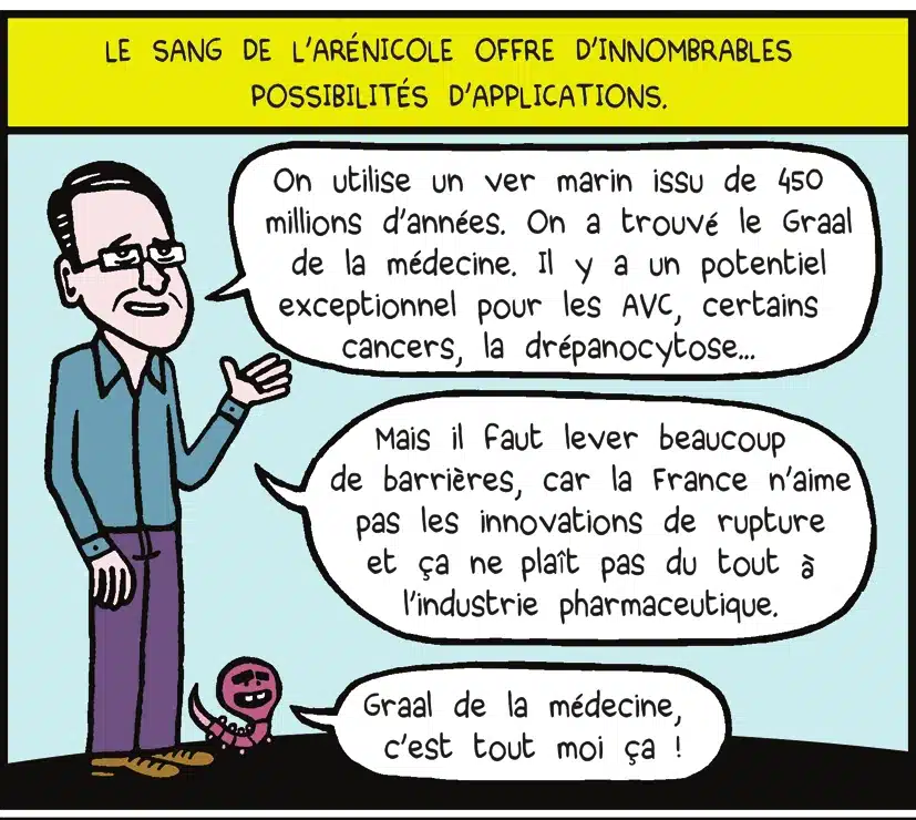 Le sang de l'arénicole offre d'innombrables possibilités d'applications