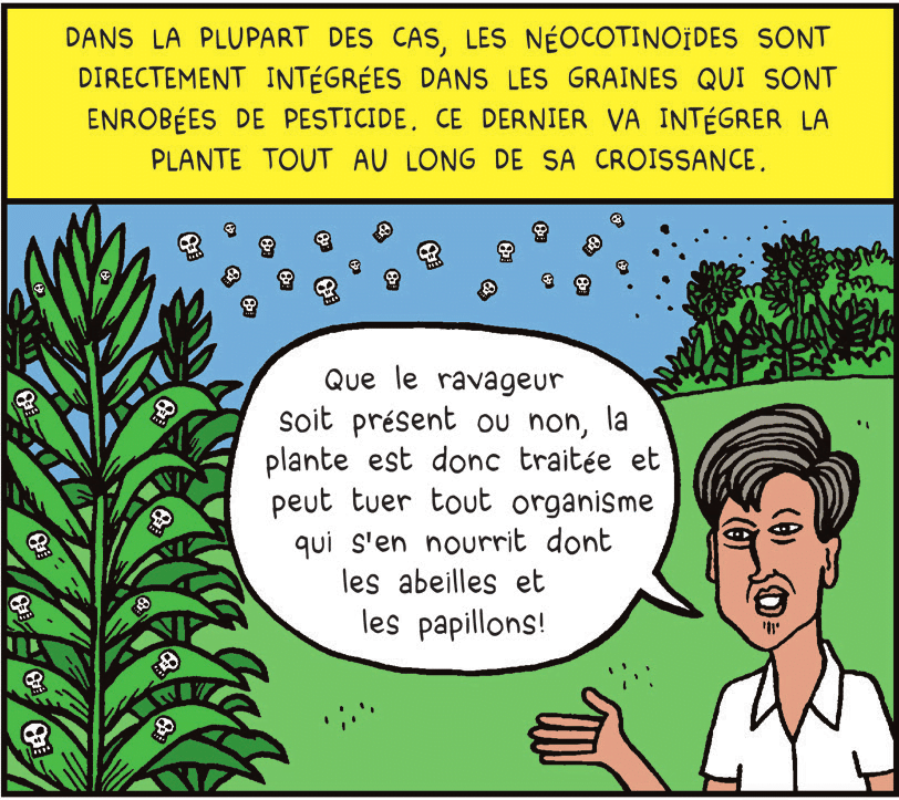 Strip2