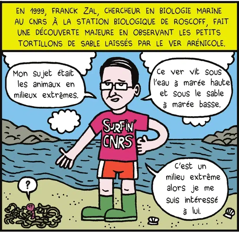 En 1999, Franck Zal, chercheur en biologie marine au CNRS à la station biologique de Roscoff, fait une découverte majeure en observant les petits tortillons de sable laissé par le ver arénicole